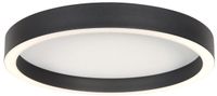 Steinhauer Zwarte plafondlamp Ringlux 4134ZW Ø30CM 2500 Lumen