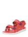 TIMBERLAND Perkins donkerlila / watermeloen rood schoenen