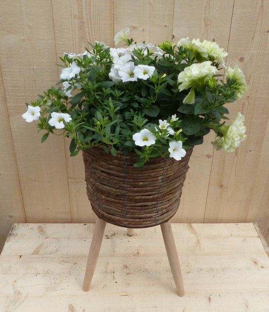 Warentuin natuurlijk Warentuin Rieten plantenbak bruin op poten met zomerbloeiers wit h65 cm