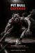 Pit Bull Defense: The Definitive Manual for Relentless, Modern Basketball Defense