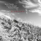 Windflower Ayumi Tanaka, Thomas Morgan, Thomas Stronen - Windflower (CD)