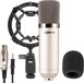 Vonyx CM400 - Studio Microfoon - Condensator - Cardioid - Zilver - Incl. Shockmount