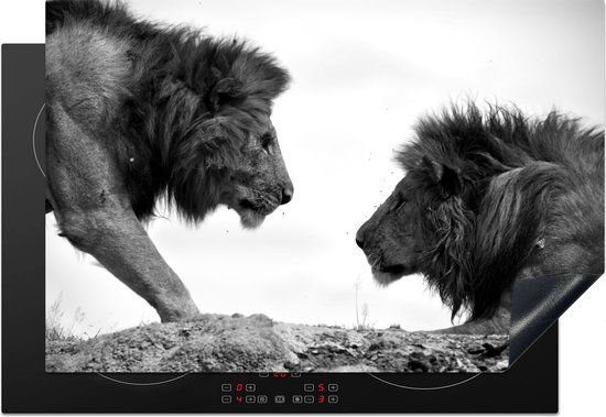 KitchenYeah® Inductie beschermer 77x51 cm - Twee leeuwen vrienden - zwart wit