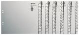 Leitz Tabbladenset A-Z, 740-delig, grijs, voor 50 ordners