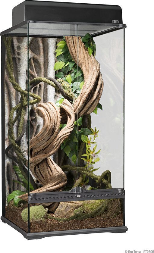 Exo Terra Rainforest Terrarium S X-tal paludarium 45x45x90cm zwart