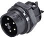 Wieland 46.052.5053.1 Prise mâle Prise, montage RST® MINI 4 + PE