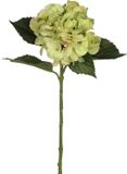 Mica Decorations Kunstbloem - Hortensia tak - groen - 51 cm