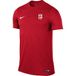 Nike Heren Short Sleeve Top M Nk Df Park Vii Jsy Ss, Rood Wit, BV6708-657, XL