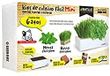 Huerto Batlle Huerto Urbano - Seed Box Mini Katten