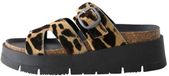 Next - Dames - Leren sandalen met gesp en bandjes - Dierenprint
