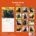 Avonside Schotse Terrier Kalender 2027