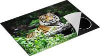 Chefcare Inductie Beschermer Tijger in het Bos - 75x55 cm - Multicolor - Inductie Mat