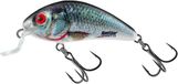 Salmo Rattlin Hornet Shallow - 3.5 cm - holographic real dace