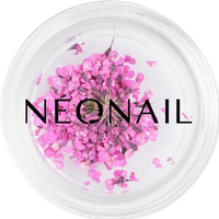 NEONAIL Dried Flowers The Muse in You Collection Kunstnagels & Nageldecoratie Nail Art Nageldesign Unisex 2.0g Wit