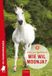 Clavis Uitgeverij De paardenmeiden 7 - Wie wil Moonja?