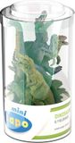 Papo Mini Dinosaurussen Set 1 (6 Stuks) 33018