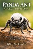 Panda Ant Natural History Guide: Identification, Behavior, Habitat, and Ecology of Velvet Ants