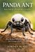 Panda Ant Natural History Guide: Identification, Behavior, Habitat, and Ecology of Velvet Ants