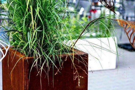 Intergard Cortenstaal plantenbak bloembak vierkant 100x100cm