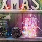 Delight HomeShopXL Lichtsnoer - 50 LED's - kleurrijk - netvoeding - 5 m - 8 programma's