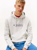 Tommy Hilfiger Tommy Jeans Heren TJM REG ENTRY DNA PLAY HOOD DM0DM22642 Pullover Hoodie, Katoen, Grijs, S