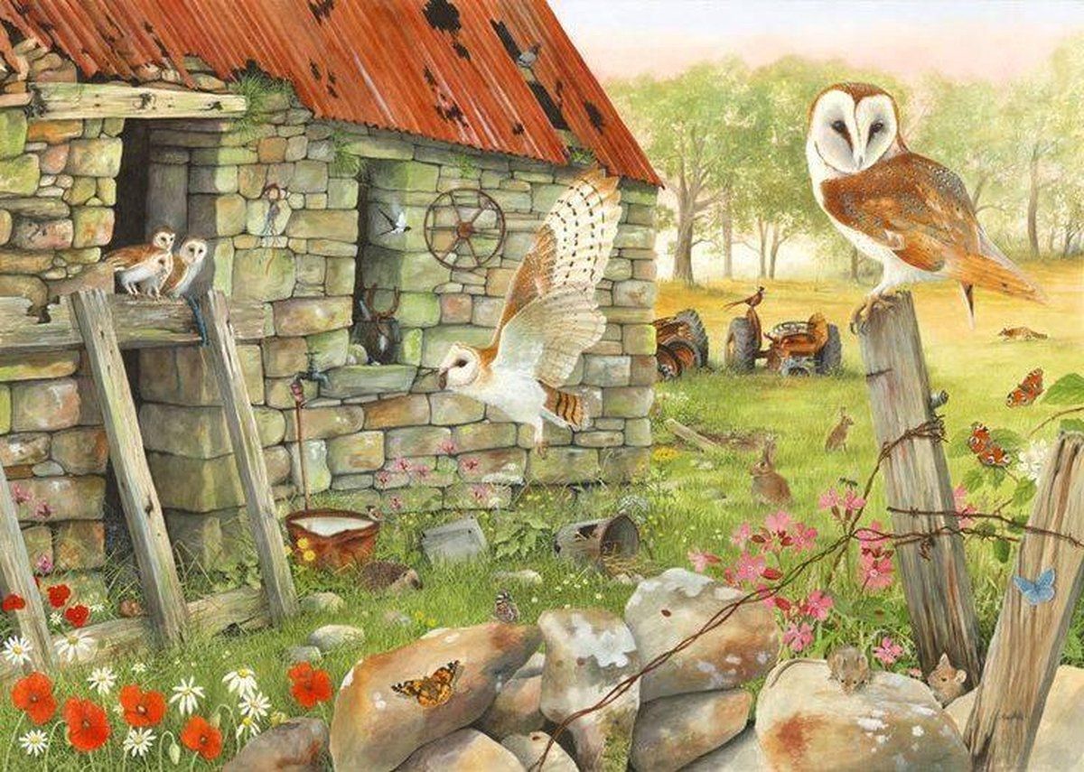 House Of Puzzles Dawn Flight Puzzle 1000 Pieces