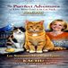 Les KACHU Les Aventures Miaou-parfaites Lori, la nounou des minous et sa bande féline KACHU Livre 5: The Purrfect Adventures of Kitty Sitter Lori & the Cat Pack KACHU What a Name for a Cat! Book 5