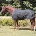 Kavalkade Paardendeken Stallion 200 g Zwart 145