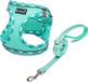 Harnais pour chien pour petits chiens avec laisse, harnais à enfiler, réfléchissant, harnais de poitrine respirant, harnais anti-traction, harnais pour chat pour petits chiens, chats (vert clair, S)