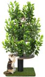 Poteau griffoir arbre à chat avec plusieurs niveaux - Feuilles interchangeables - Stable et solide - Facile à assembler