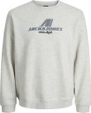 JACK&JONES JCOTIER PRINT SWEAT CREW NECK SN JNR - Jongens - Sweaters
