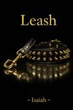 Leash Independently Published Leash Paperback