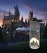 Harry Potter Gourde « Retour à Poudlard » 700 ml avec bouchon à vis, design magique, transparente/grise