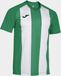 Joma Inter IV Shirt Korte Mouw Heren - Groen / Wit | Maat: XL