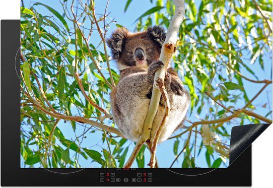 KitchenYeah® Inductie beschermer 77x51 cm - Koala - Multicolor