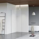 FortiFura Galeria inloopdouche - 80x200cm - helder glas - plafondarm - hoogglans chroom