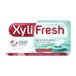 Xylifresh 24x Kauwgom Mentholmint