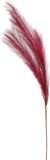 Inge-glas Pampasgras Pluimen Donkerrood 80 cm