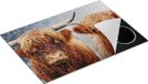 Chefcare Inductie Beschermer Schotse Hooglander Koppel - 75x50 cm - Multicolor