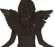 Black Fiestas Guirca Verenvleugels 62cm zwart