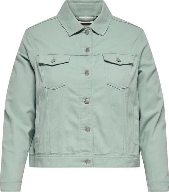 ONLY CARMAKOMA CARTIA L/S COLORED JACKET CC PNT - Meisjes - Gewatteerde jassen