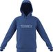 adidas Terrex Kids Multi Logo Hoodie, ray blue, 11-12 Years