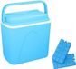 Non-branded Affordable blue cooler 24 liters - including 6 ice packs - 38 x 26 x 39 cm