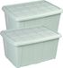 Plasticforte Opbergbox met deksel - 2x - Mintgroen - 60L - kunststof - 63 x 46 x 32 cm