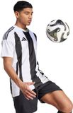 adidas teamwear adidas T-shirt Heren Striped 24 Jersey Wit-Zwart - Maat S