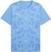 Puma TeamUltimate Jersey 706280