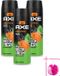 Axe 3 x Bodyspray Jungle Fresh - 150 ml