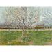 Artery8 Vincent Van Gogh Boomgaard In Bloesem Pruimbomen XL Giant Paneel Poster (8 Secties)