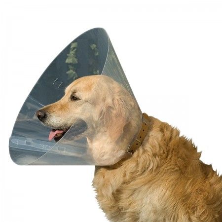 Beeztees Hondenkraag Transparant 28 - 33 x 12,5 cm