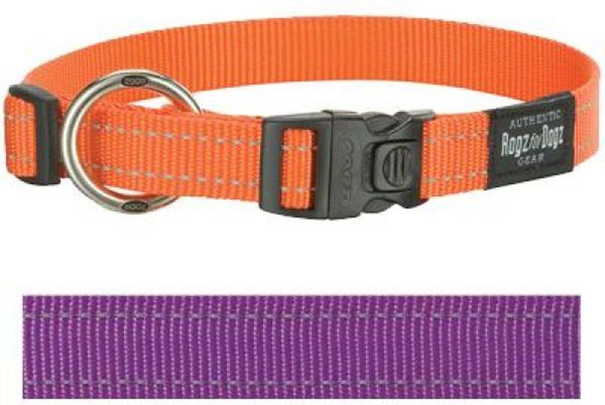 ROGZ FOR DOGS Fanbelt Halsband - Paars - 20 mm x 34-56 cm